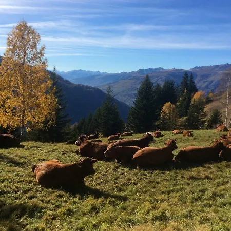 Studio Neige Et Soleil Appartement La Rosiere (Savoie)